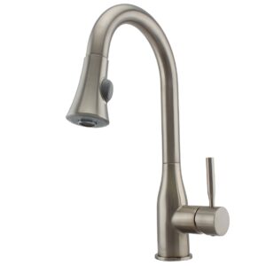 F821SS Kitchen Faucet