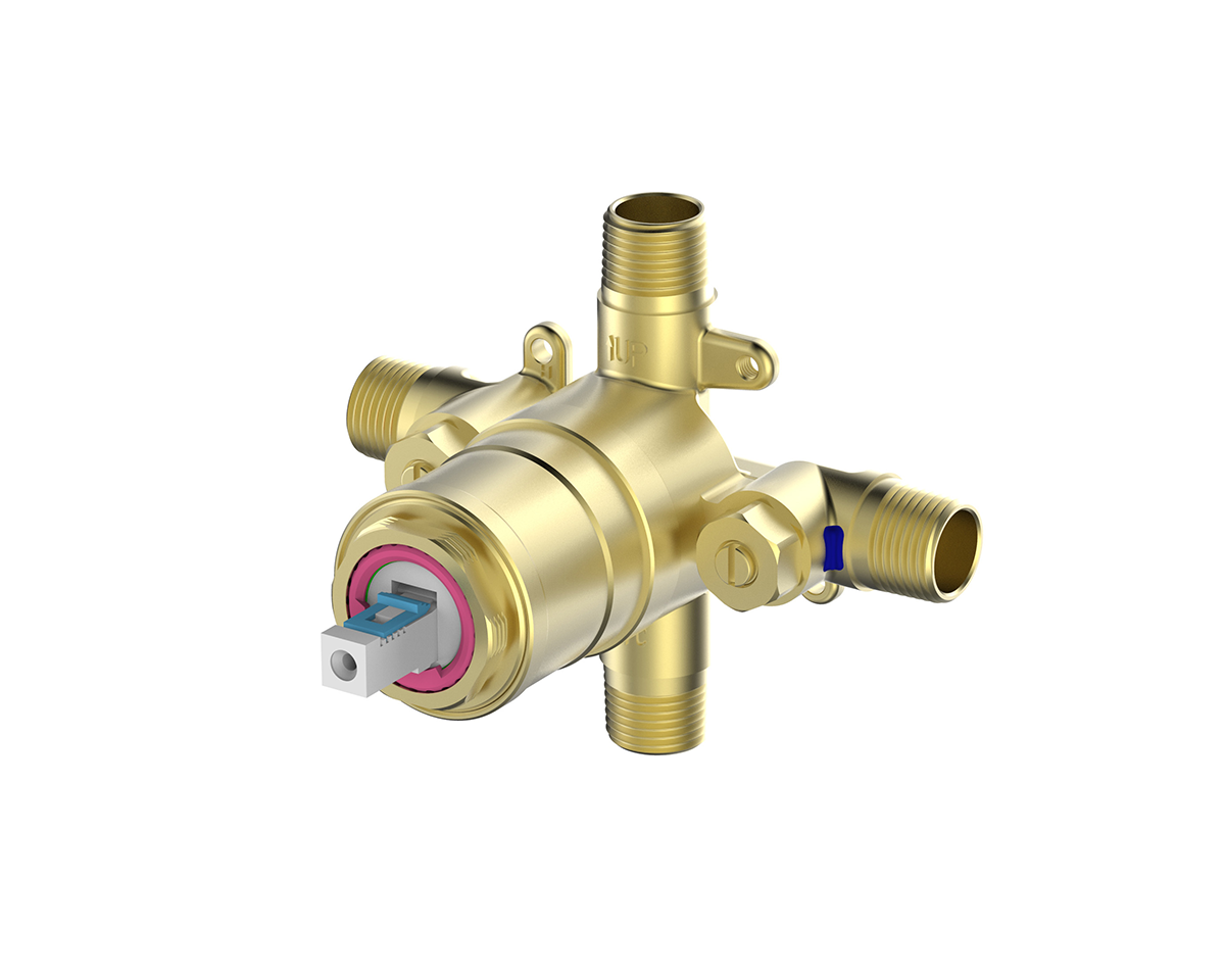 F1001B valve