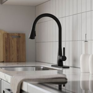 Pfister Pfirst Modern 1-Handle Pull-Down Kitchen Faucet