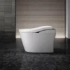 neorest ls pic 3
